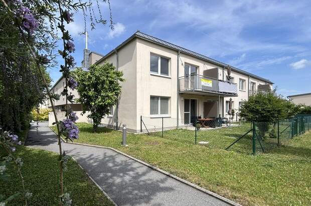 Mietwohnung in 3712 Maissau (Bild 1)