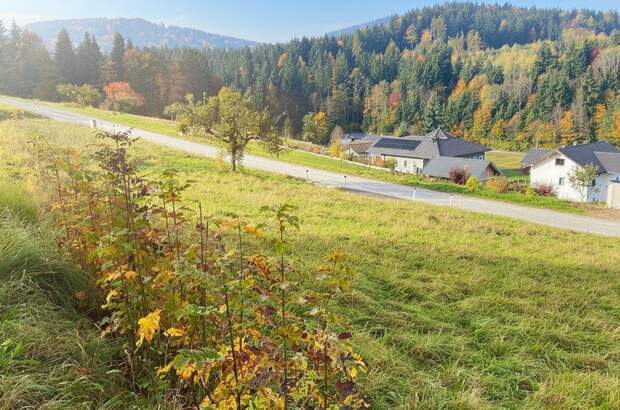 Grundstück kaufen in 4656 Kirchham (Bild 4)