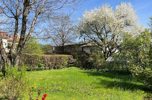 Gewerbeobjekt mieten in 4644 Scharnstein (Bild 3)