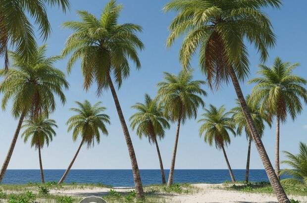 Gewerbeobjekt kaufen in 2055 Morrocoy (Bild 3)