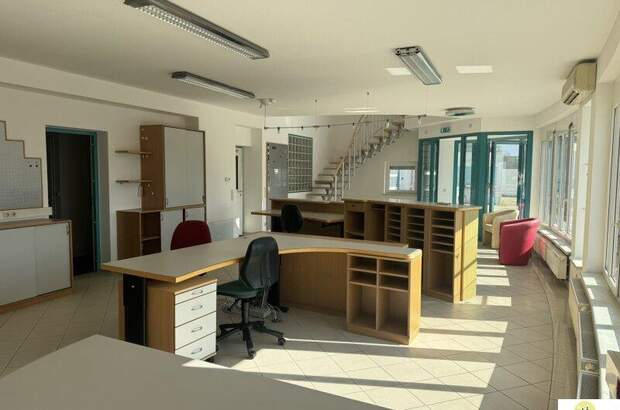 Büro / Praxis mieten in 7122 Gols (Bild 5)