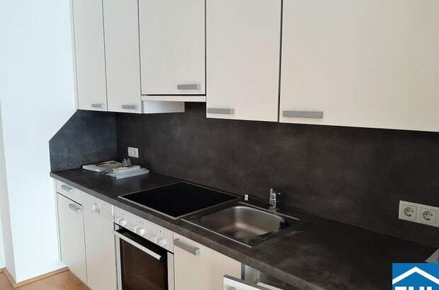 Terrassenwohnung mieten in 1060 Wien (Bild 4)