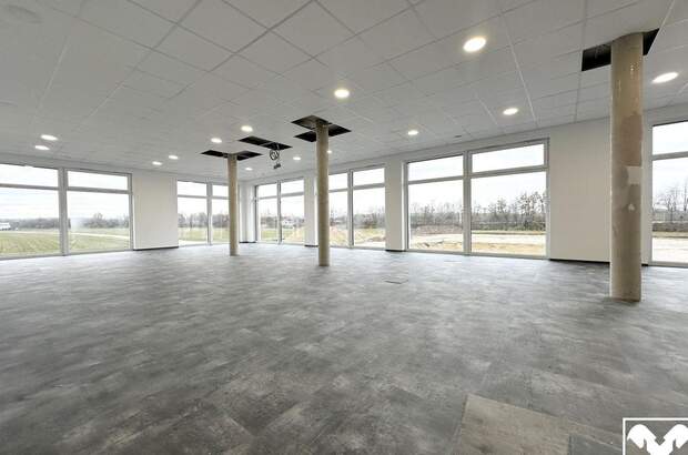Gewerbeobjekt mieten in 4600 Wels (Bild 2)