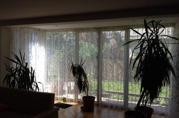 Mehrfamilienhaus kaufen in 5020 Salzburg (Bild 2)