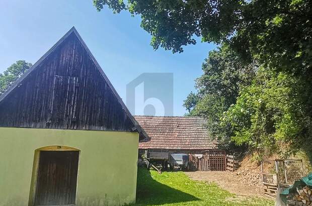 Haus mit Garten kaufen in 7082 Donnerskirchen (Bild 5)