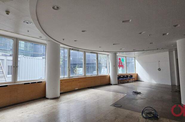 Gewerbeobjekt mieten in 1220 Wien (Bild 3)