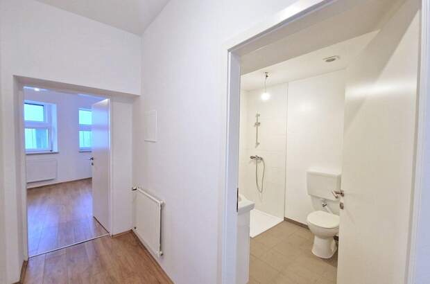 Altbauwohnung mieten in 8020 Graz (Bild 5)