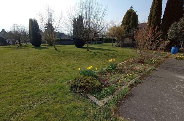 Grundstück kaufen in 5020 Salzburg