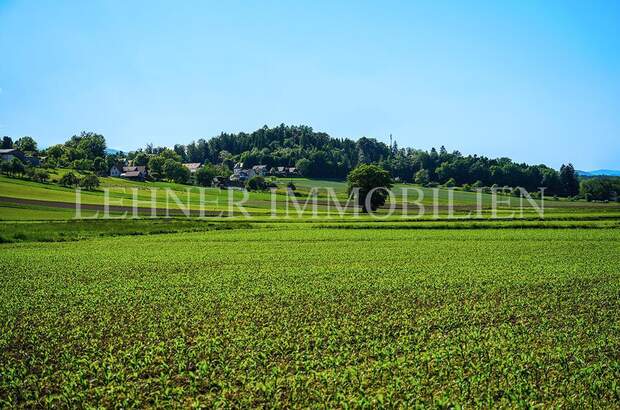 Einfamilienhaus kaufen in 8143 Dobl (Bild 4)