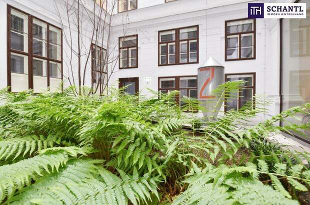 Wohnung kaufen in 1010 Wien (Bild 4)