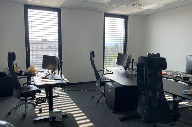 Gewerbeobjekt mieten in 8042 Graz (Bild 1)