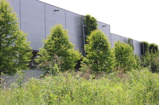 Grundstück kaufen in 8041 Graz (Bild 2)