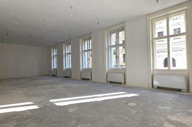 Gewerbeobjekt mieten in 1010 Wien (Bild 1)