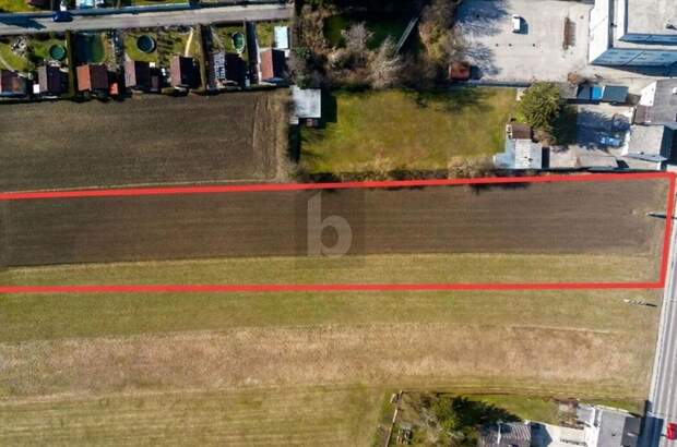 Gewerbeobjekt kaufen in 3300 Amstetten (Bild 5)