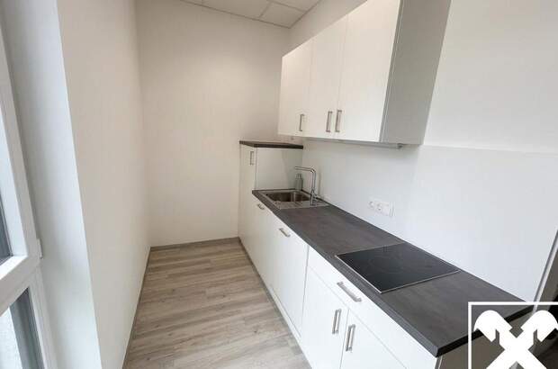 Gewerbeobjekt mieten in 4081 Hartkirchen (Bild 3)