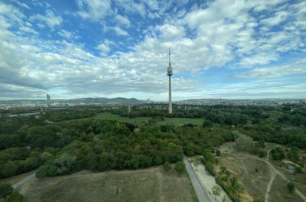 Gewerbeobjekt mieten in 1220 Wien (Bild 4)
