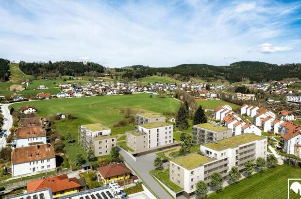 Wohnung kaufen in 4240 Freistadt (Bild 5)