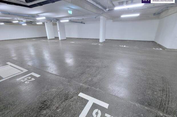 Halle / Lager / Produktion kaufen in 1210 Wien