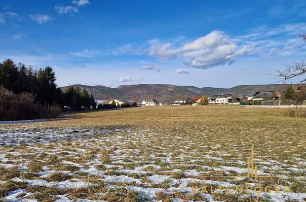 Grundstück kaufen in 2722 Weikersdorf (Bild 4)