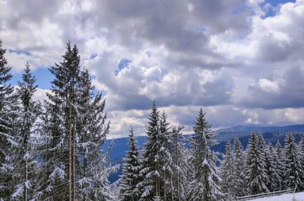 Haus mit Garten kaufen in 8742 Lavantegg (Bild 3)