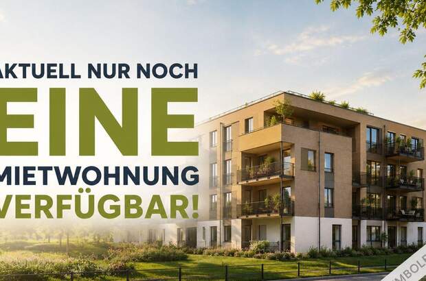 Wohnung mit Balkon mieten in 8401 Kalsdorf (Bild 1)