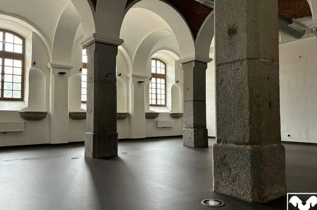 Gewerbeobjekt mieten in 4470 Enns (Bild 5)