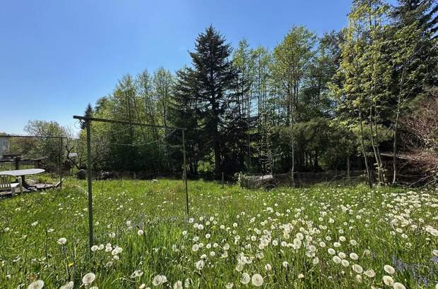 Grundstück kaufen in 4111 Walding (Bild 1)