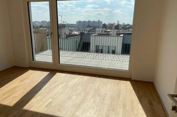 Terrassenwohnung mieten in 1220 Wien (Bild 3)