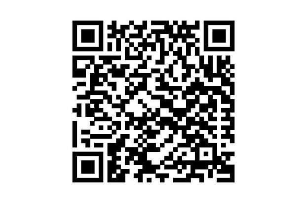 Grundstück kaufen in 5753 Saalbach (Bild 4)