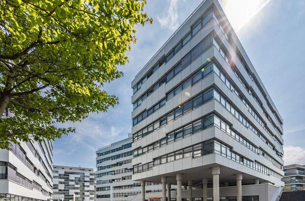 Gewerbeobjekt mieten in 1110 Wien (Bild 1)