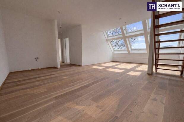 Terrassenwohnung kaufen in 2514 Traiskirchen (Bild 2)