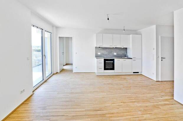 Terrassenwohnung mieten in 1220 Wien (Bild 3)