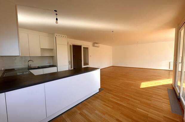 Terrassenwohnung mieten in 1190 Wien (Bild 5)