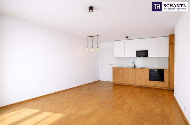 Terrassenwohnung mieten in 1230 Wien (Bild 4)
