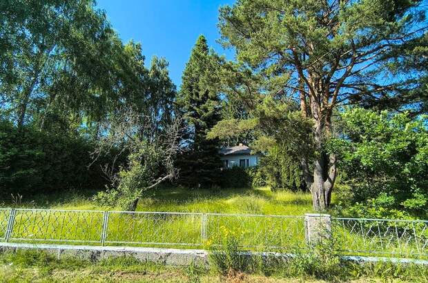 Haus kaufen in 3872 Amaliendorf (Bild 3)