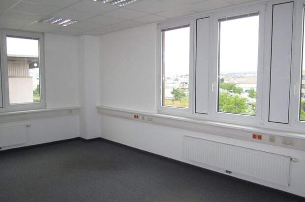 Gewerbeobjekt mieten in 1230 Wien (Bild 1)