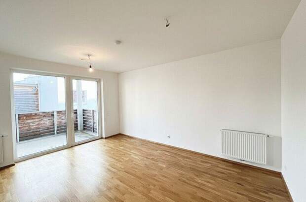 Terrassenwohnung mieten in 3140 Pottenbrunn (Bild 2)