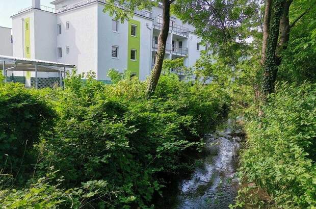 Terrassenwohnung mieten in 2442 Unterwaltersdorf (Bild 1)