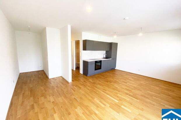 Terrassenwohnung mieten in 1110 Wien (Bild 3)