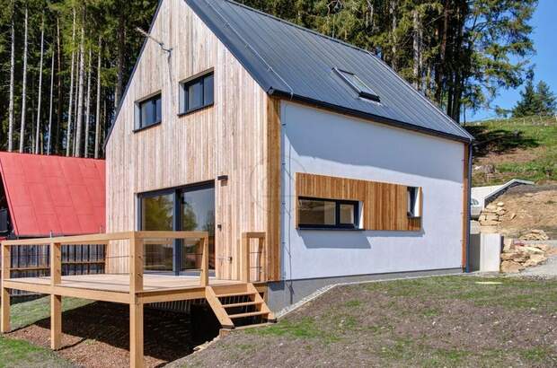 Haus mit Garten kaufen in 38226 Horní Planá (Bild 1)