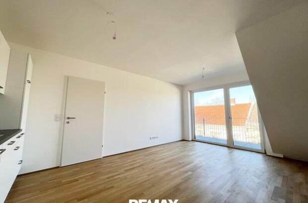 Terrassenwohnung mieten in 1230 Wien (Bild 2)