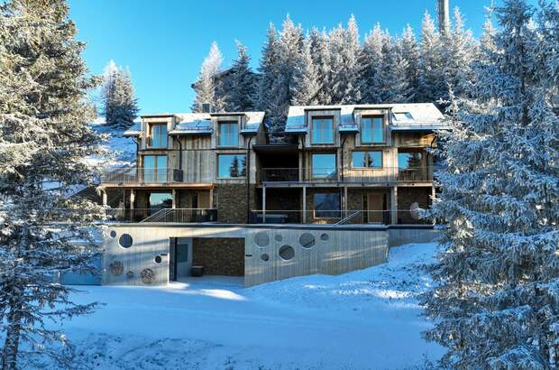 Haus kaufen in 8967 Haus (Bild 2)