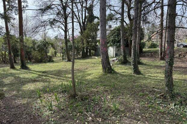 Grundstück kaufen in 7000 Eisenstadt (Bild 2)