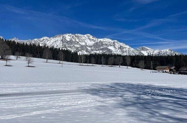 Gewerbeobjekt kaufen in 8970 Schladming (Bild 1)