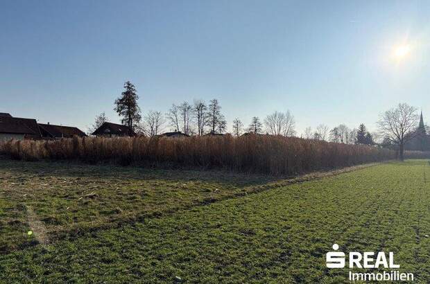 Grundstück kaufen in 5280 Braunau (Bild 2)