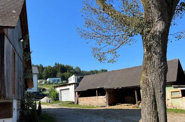 Gewerbeobjekt kaufen in 8570 Voitsberg (Bild 4)