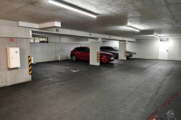 Halle / Lager / Produktion kaufen in 2483 Ebreichsdorf (Bild 2)