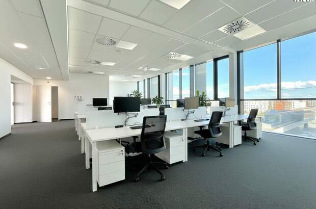 Gewerbeobjekt mieten in 1220 Wien (Bild 1)