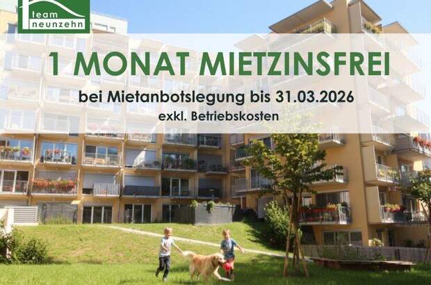 Terrassenwohnung mieten in 8020 Graz (Bild 1)