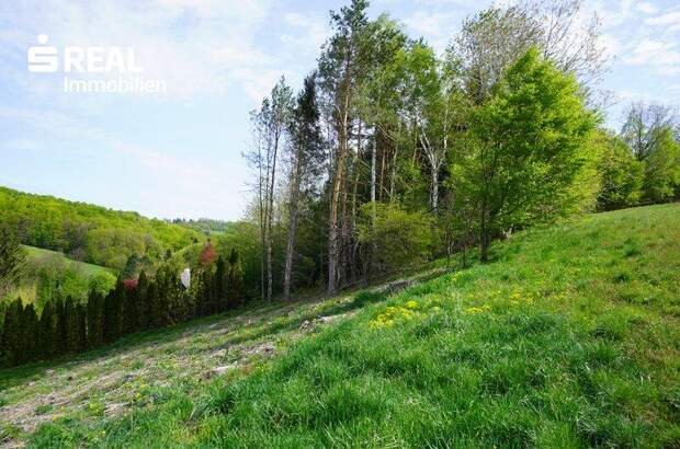 Grundstück kaufen in 3033 Altlengbach (Bild 3)